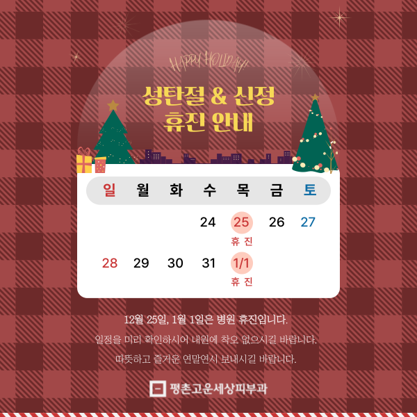 성탄절&신정 휴진 안내